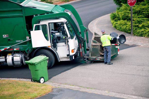 Best Shed Removal in USA